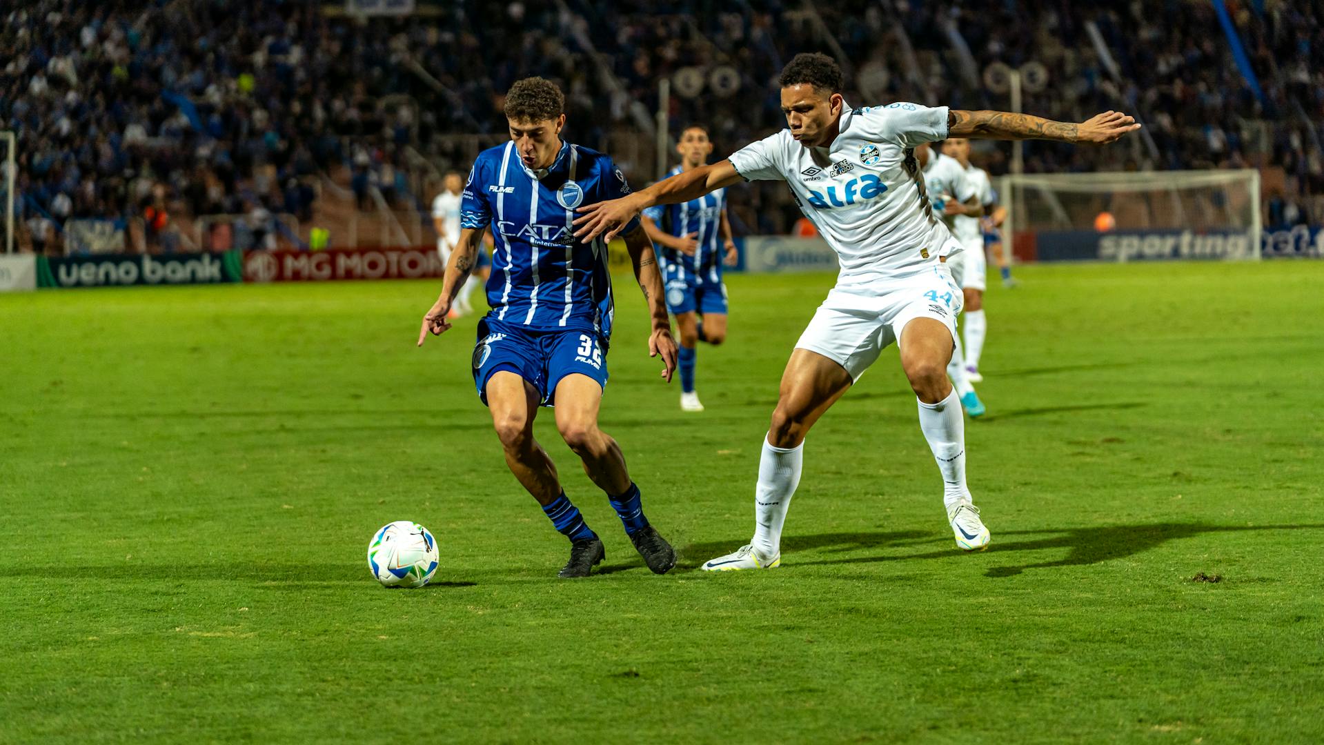 pexels-franco-monsalvo-252430633-32190749